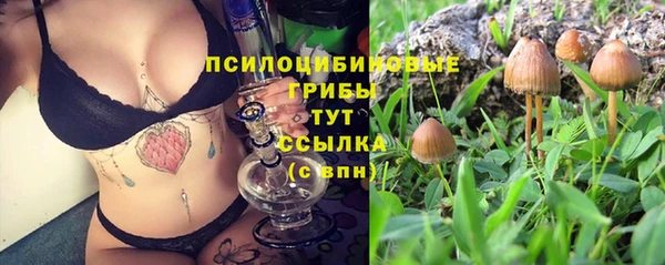 стафф Балахна