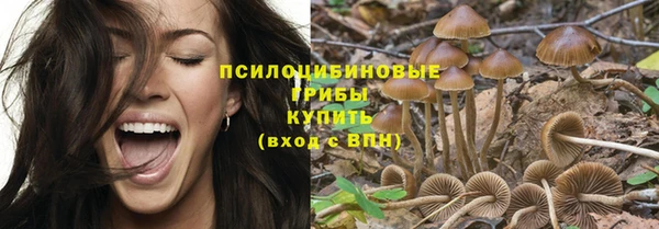 стафф Балахна