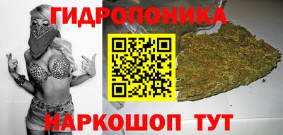 гашик Новоалександровск