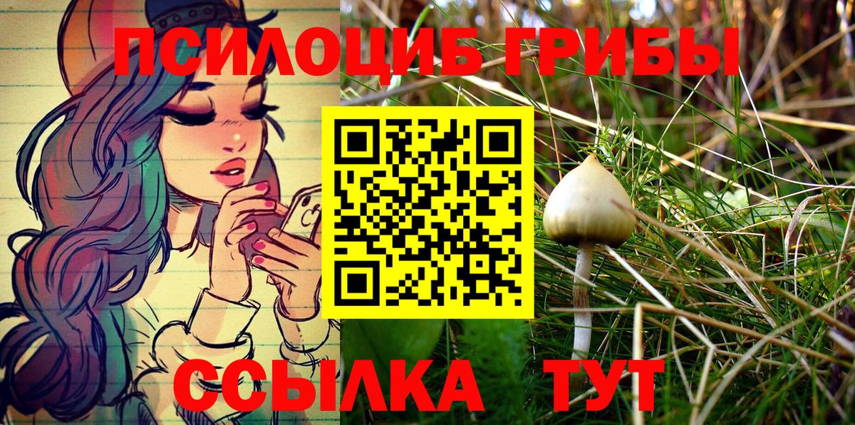 Галлюциногенные грибы GOLDEN TEACHER Борисоглебск